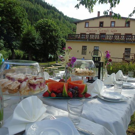 Villa Zacisze Trzech Gór Jedlina-Zdroj Exterior foto
