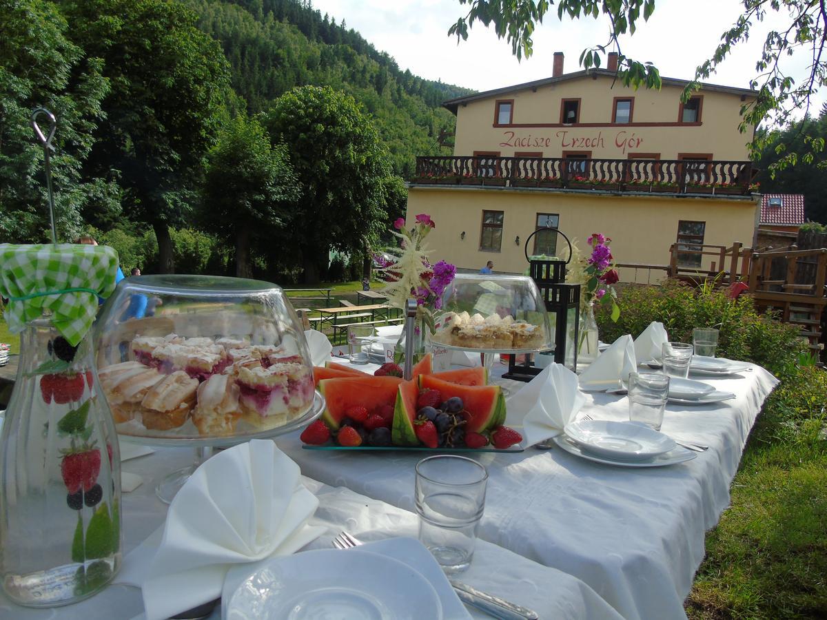 Villa Zacisze Trzech Gór Jedlina-Zdroj Exterior foto